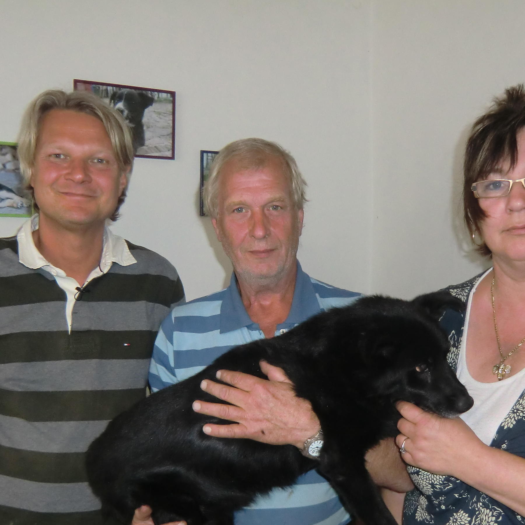 Tiere in Not - Scotty 2 - Glck auf 4 Pfoten