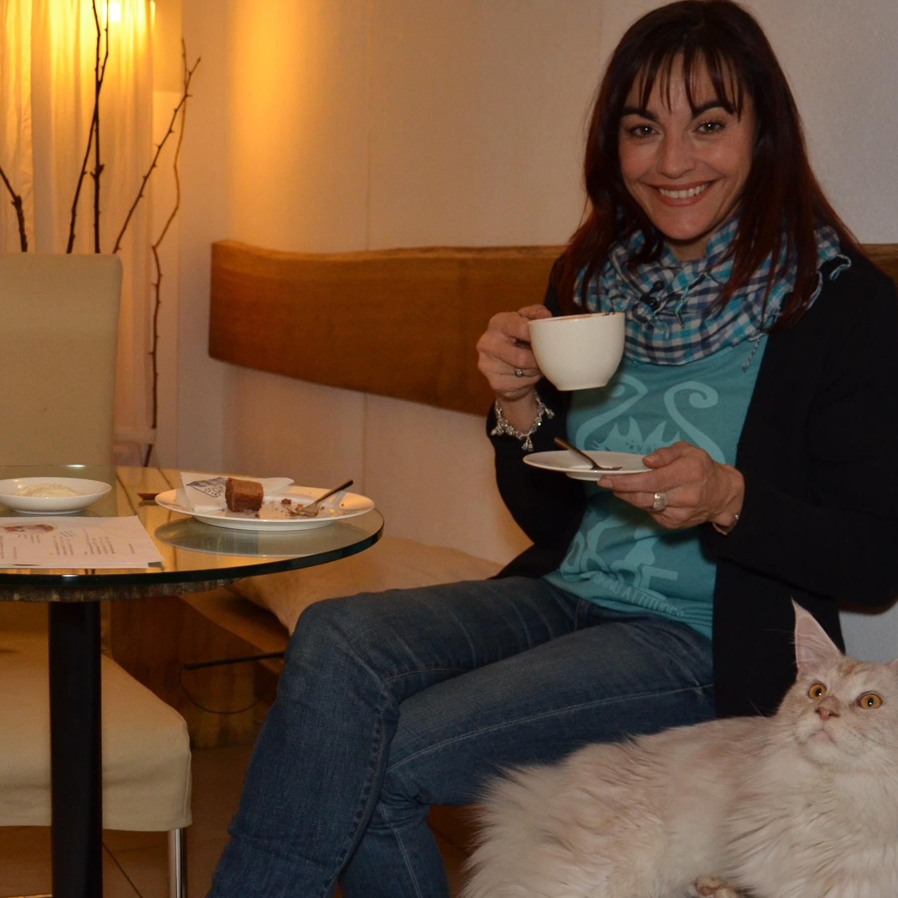 Vorschau1 - Katzencafe Vorschau1 - Katzencafe