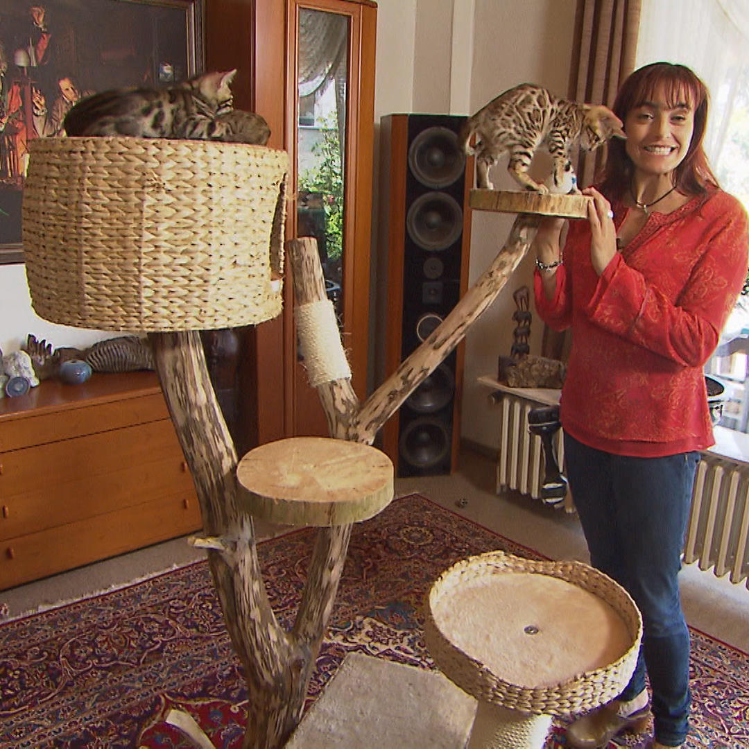 TG2 - Naturkratzbaum - VOX - hundkatzemaus-Reporterin Diana Eichhorn ist stolz auf ihren selbstgebauten Naturkratzbaum TG2 - Naturkratzbaum - VOX - hundkatzemaus-Reporterin Diana Eichhorn ist stolz auf ihren selbstgebauten Naturkratzbaum