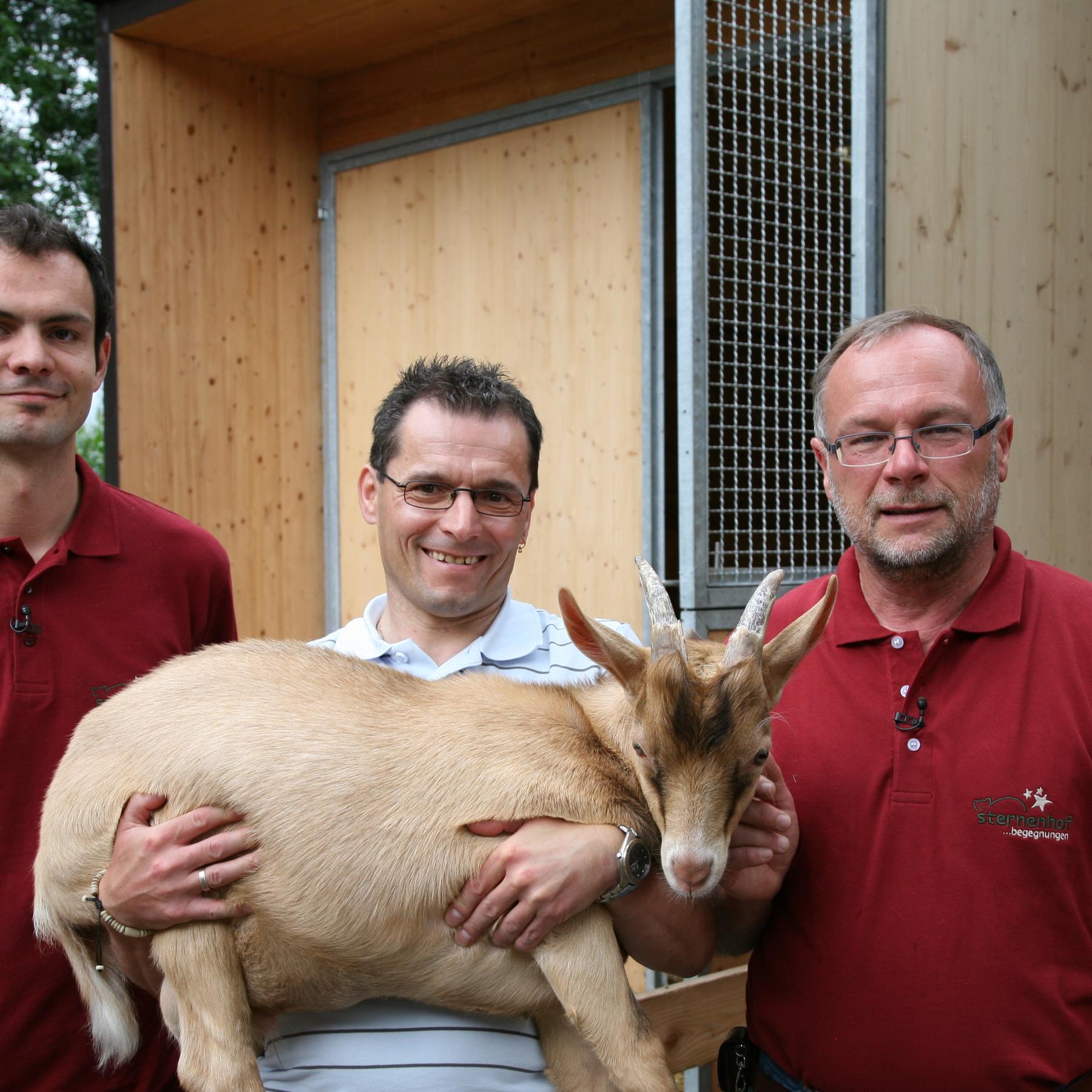 tiergeschichten2 - Sternenhof 2 tiergeschichten2 - Sternenhof 2