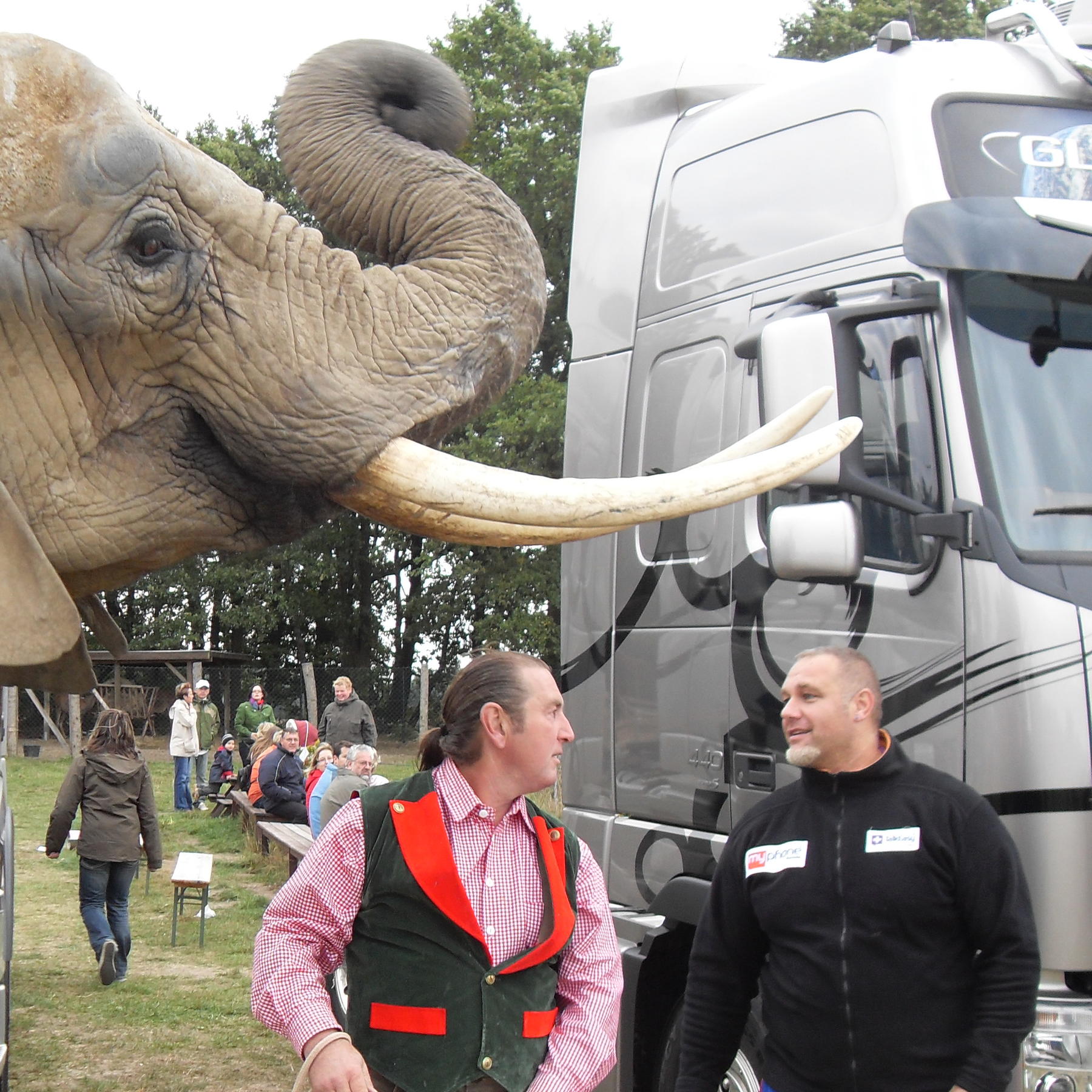 WW Folge 13 Elefant 2 WW Folge 13 Elefant 2