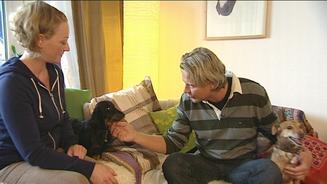 Video: Dr. Wolf unter Raubkatzen