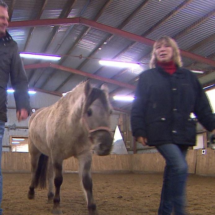 Tiere in Not - VOX - Pferdeklappe Tiere in Not - VOX - Pferdeklappe
