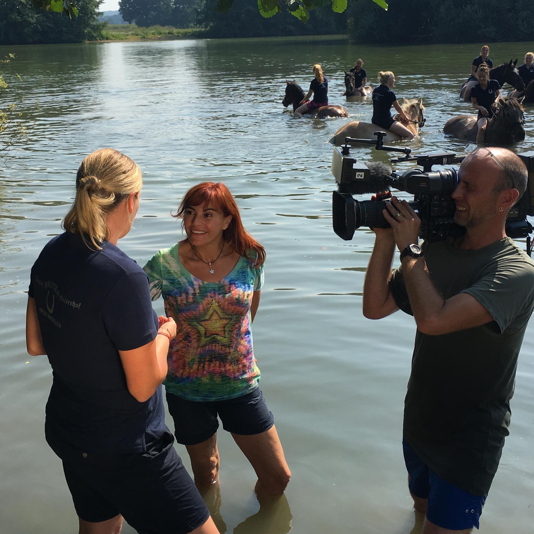 hundkatzemaus-Reporterin Diana Eichhorn hat großen Spaß beim Pferdeschwimmen hundkatzemaus-Reporterin Diana Eichhorn hat großen Spaß beim Pferdeschwimmen
