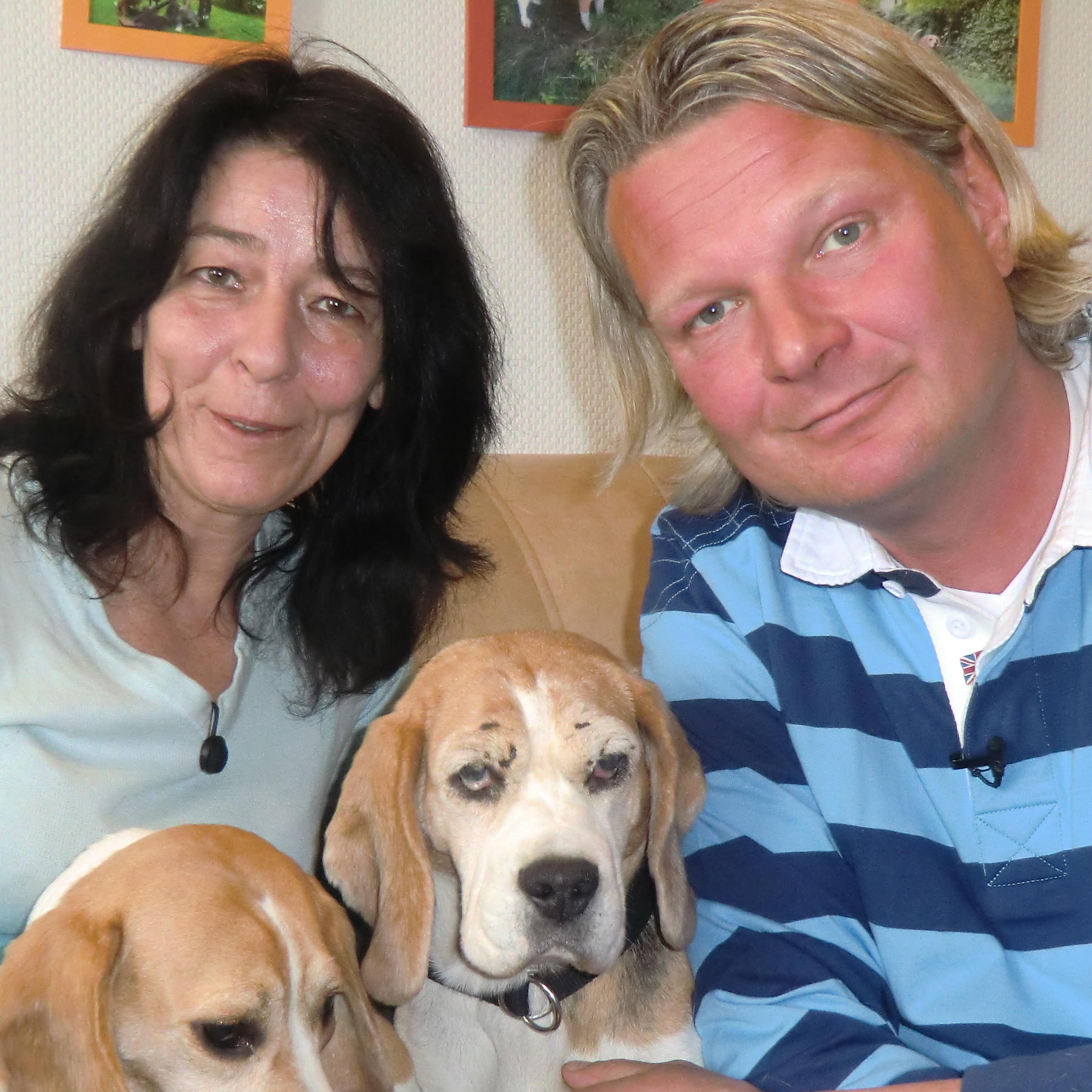 Tiere in Not 2 - Gebrmaschinen - Beagle Bea und Lukas Tiere in Not 2 - Gebrmaschinen - Beagle Bea und Lukas