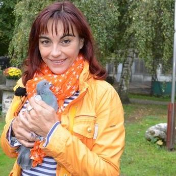 Tiergeschichten2 - VOX-DOCMA TV-HEIKE REINHARDT - Diana informiert sich ber Stadttauben