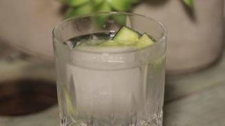 Gin Tonic