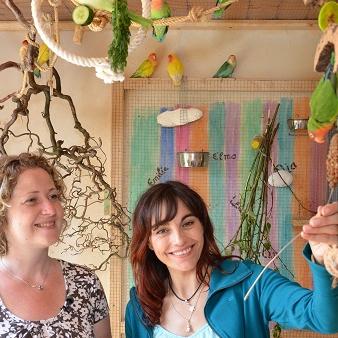 Tiergeschichten1 - VOX-DOCMA TV-CLAUDIA GRIMM - Diana und Agaporniden Tiergeschichten1 - VOX-DOCMA TV-CLAUDIA GRIMM - Diana und Agaporniden