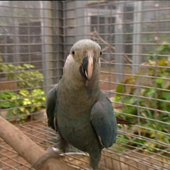 tiergeschichten2 a tiergeschichten2 a