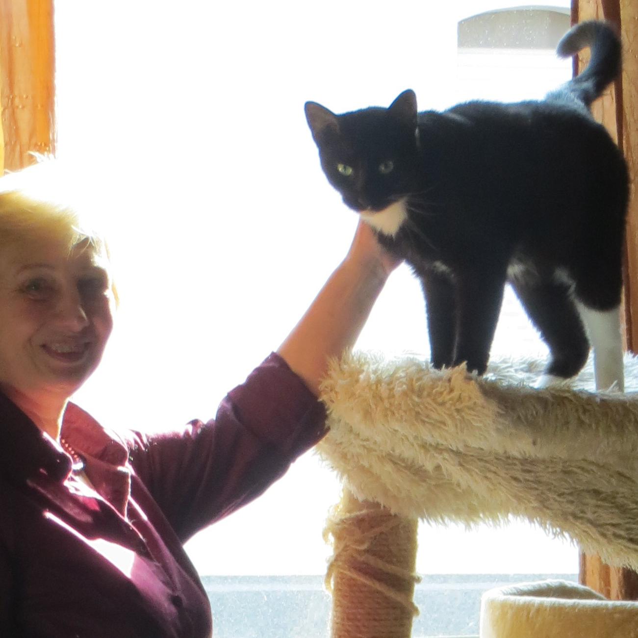 Tiere in Not - VOX-DOCMA TV - Die private Katzenschtzerin Doris Hebel braucht dringend Hilfe von Frank Weber Tiere in Not - VOX-DOCMA TV - Die private Katzenschtzerin Doris Hebel braucht dringend Hilfe von Frank Weber