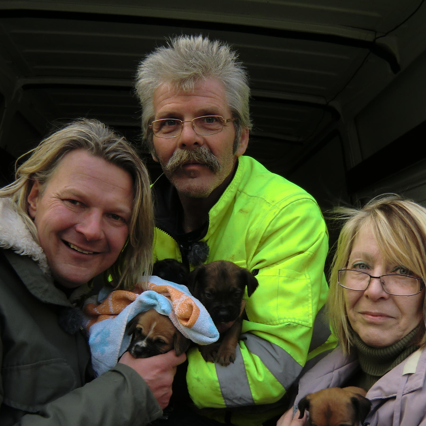 Tiere in Not - Hundefamilie 1 Tiere in Not - Hundefamilie 1