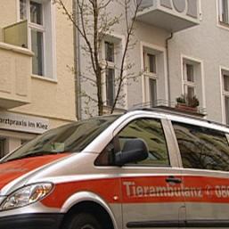tierambulanz berlin brandenburg tierambulanz berlin brandenburg