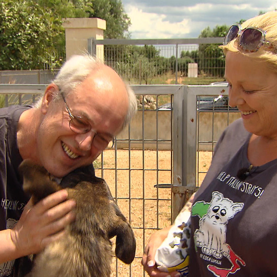 TG3 - Miniserie Straenhunde 2- VOX Wiedersehen macht Freude Nach einem Jahr besuchen die deutschen Tieraktivisten erneut ihre italienischen Schtzlinge TG3 - Miniserie Straenhunde 2- VOX Wiedersehen macht Freude Nach einem Jahr besuchen die deutschen Tieraktivisten erneut ihre italienischen Schtzlinge