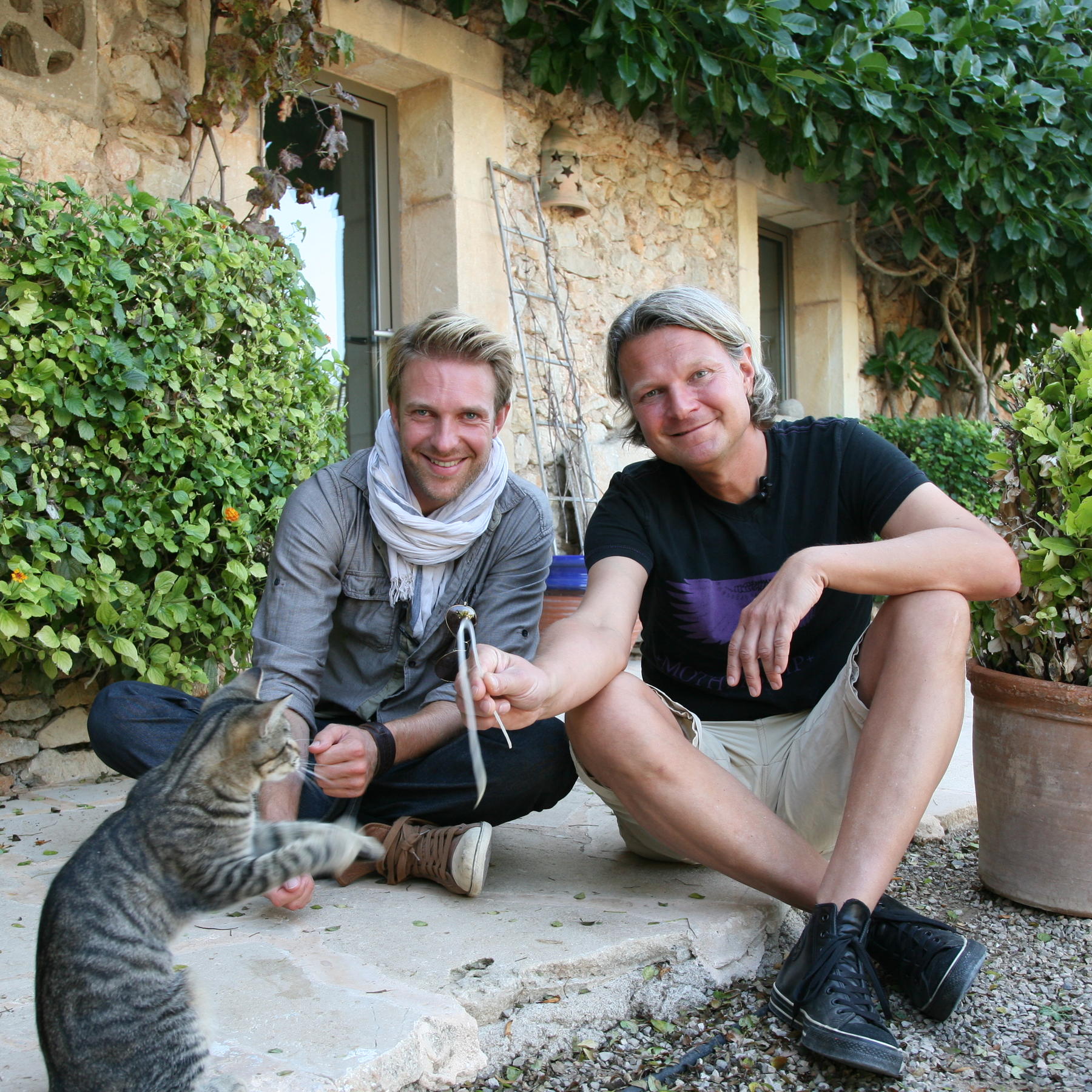 Tiere in Not - Frank Weber - Foto 2 - Mallorca Katzen Tiere in Not - Frank Weber - Foto 2 - Mallorca Katzen