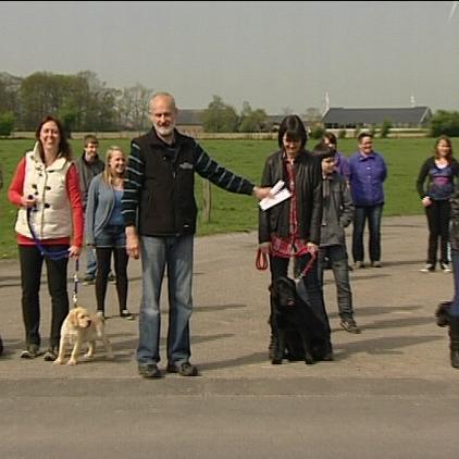 blindenhund siegfried küch mit patenfamilien blindenhund siegfried küch mit patenfamilien