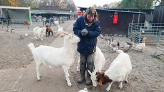 Spezialeinsatz in Ungarn