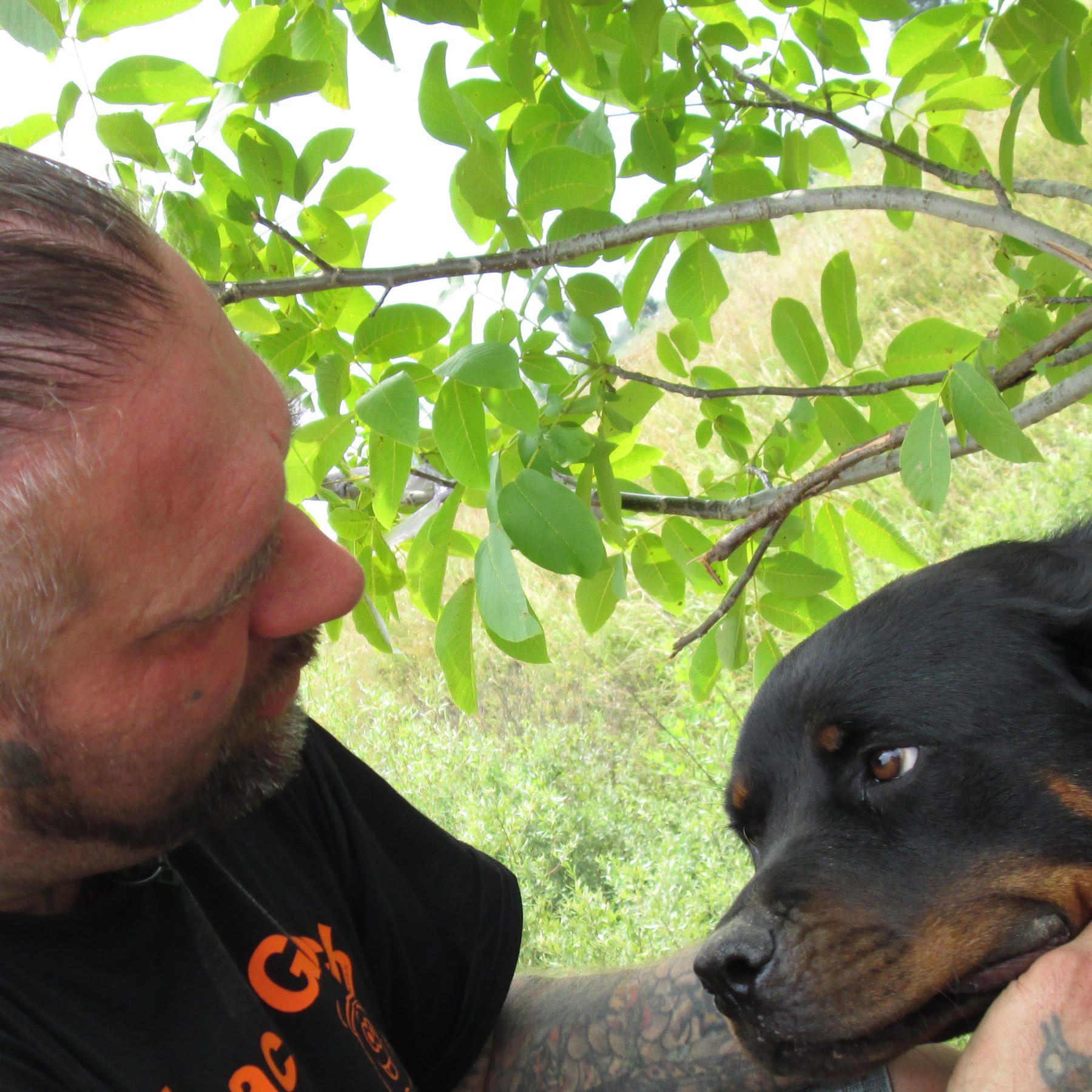 Tiergeschichten3 - Ralf Seeger und Kettenhund Rottweiler Tiergeschichten3 - Ralf Seeger und Kettenhund Rottweiler