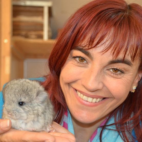 Tiergeschichten2 - VOX-DOCMA TV - Diana informiert sich ber Angora-Chinchillas Tiergeschichten2 - VOX-DOCMA TV - Diana informiert sich ber Angora-Chinchillas