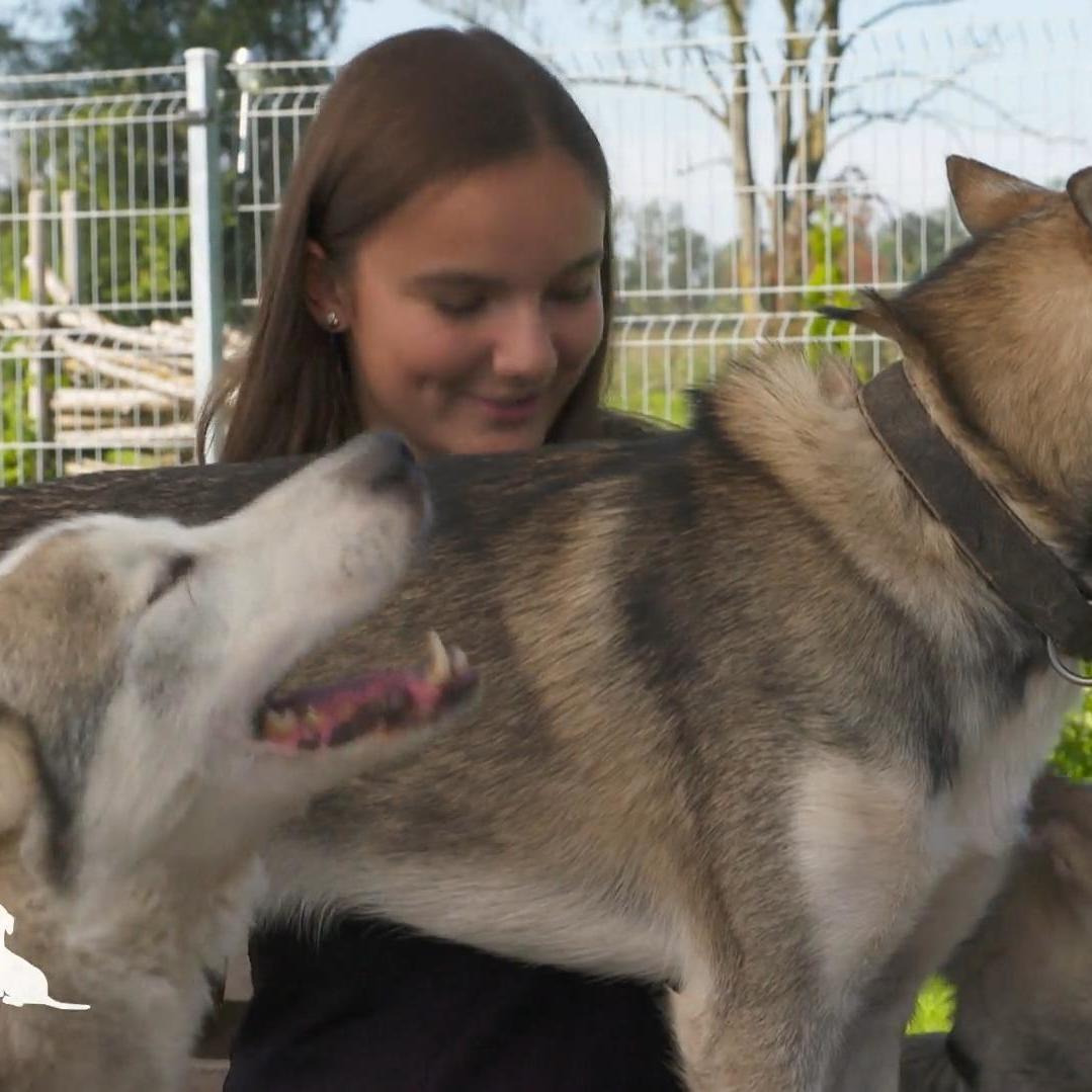Hier wird gekuschelt und geknuddelt Hier wird gekuschelt und geknuddelt