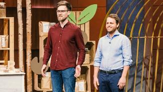 Keimt bei „Keimster“ ein Deal auf?