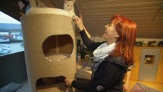 Die Do-It-Yourself-Kratztonne