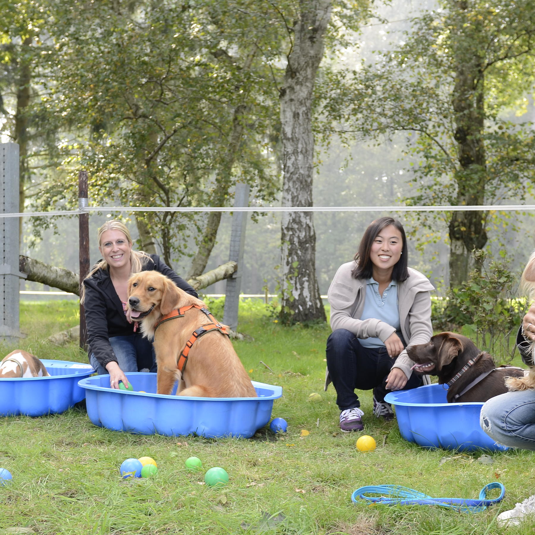 TG2 - Hunderallye VOX-DOCMA TV Zusammen mit Klein Maggie nimmt hundkatzemaus-Reporterin Diana Eichhorn an einer Hunderallye teil TG2 - Hunderallye VOX-DOCMA TV Zusammen mit Klein Maggie nimmt hundkatzemaus-Reporterin Diana Eichhorn an einer Hunderallye teil