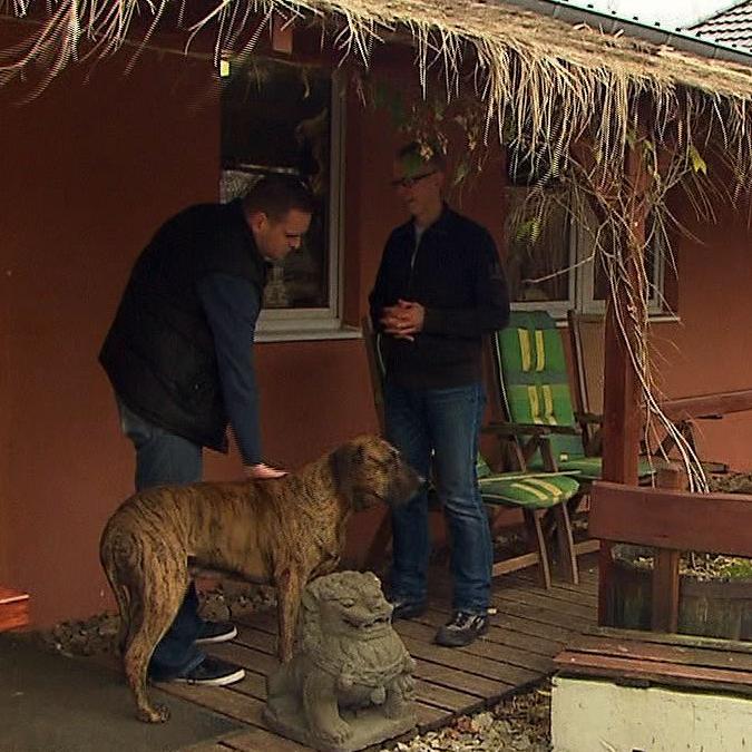 Tieranwalt - Konflikt Bellender Hund Tieranwalt - Konflikt Bellender Hund
