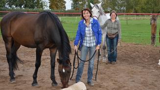 Farbmäuse artgerecht halten