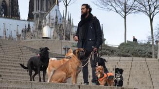Tipps vom Hunde-Verhaltenstherapeuten