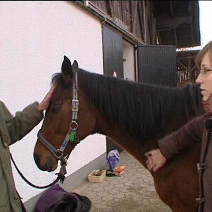 Tiere in Not Frank Weber Ann-Katrin und Abby Tiere in Not Frank Weber Ann-Katrin und Abby