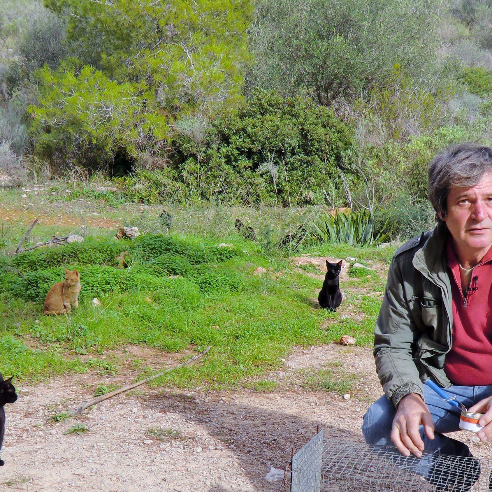 Tierschützer auf Mallorca - Streunende Katzen 2.jpg Tierschützer auf Mallorca - Streunende Katzen 2.jpg