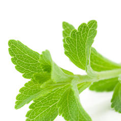 Fotolia 16498821 XS.jpg Fotolia 16498821 XS.jpg