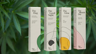 Was kann diese Cannabis-Kosmetik?