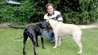 Thyson und Merle