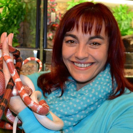 Tiergeschichten2 - VOX-DOCMA TV-CHRISTIAN NEUMANN - Diana Eichhorn geht mit Knigsnattern auf Tuchfhlung Tiergeschichten2 - VOX-DOCMA TV-CHRISTIAN NEUMANN - Diana Eichhorn geht mit Knigsnattern auf Tuchfhlung