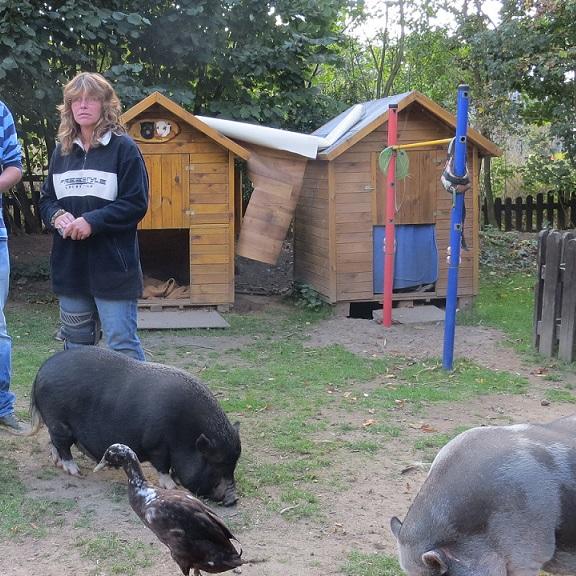 TiereinNot - Tierparadies VOX-DOCMA-TV In Rosis Tierparadies haben alle Tiere ein schnes Leben doch Rosi braucht Untersttzung von hundkatzemaus-Tierschutzexperte Frank Weber