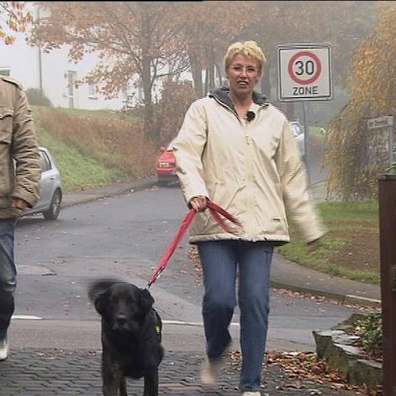 hkm hundeprofi b hkm hundeprofi b