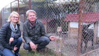 Operation Galgo: Ein neuer Anfang