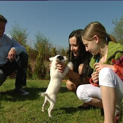 tiergeschichten4 a2 tiergeschichten4 a2