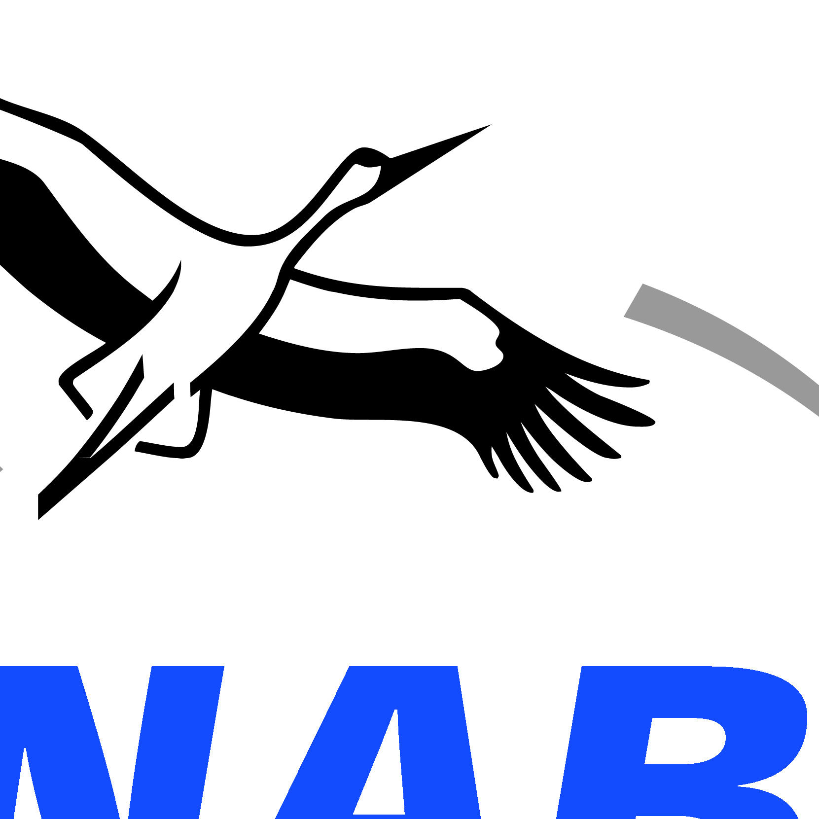 nabu logo nabu logo