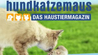 Ein neuer Vorspann im frischen Design