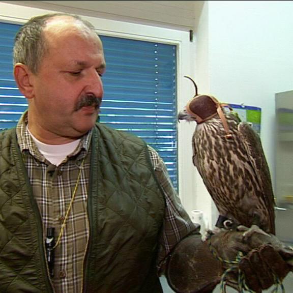 tierambulanz berlin vrk gießen 1.bmp tierambulanz berlin vrk gießen 1.bmp