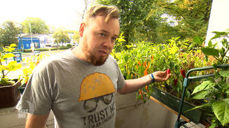 Arno hat viele Talente