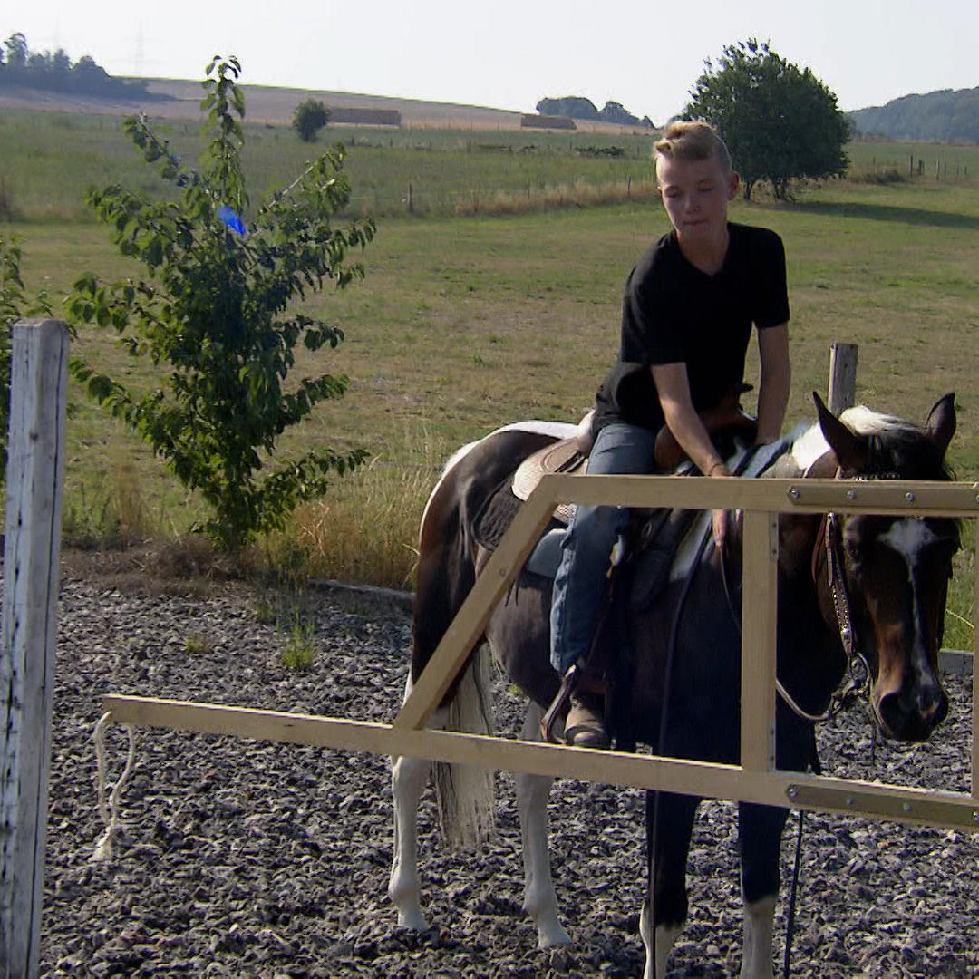 Mick und King - Der Traum vom Westernreiten VOX Mick und King - Der Traum vom Westernreiten VOX