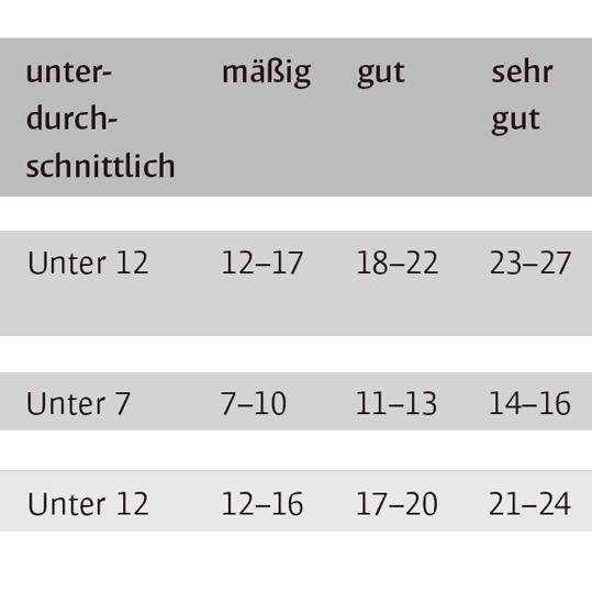 Die Ergebnisliste für die Tests aus dem Buch „Mehr Platz im Gehirn“ von Dr. Boris Nikolai Konrad