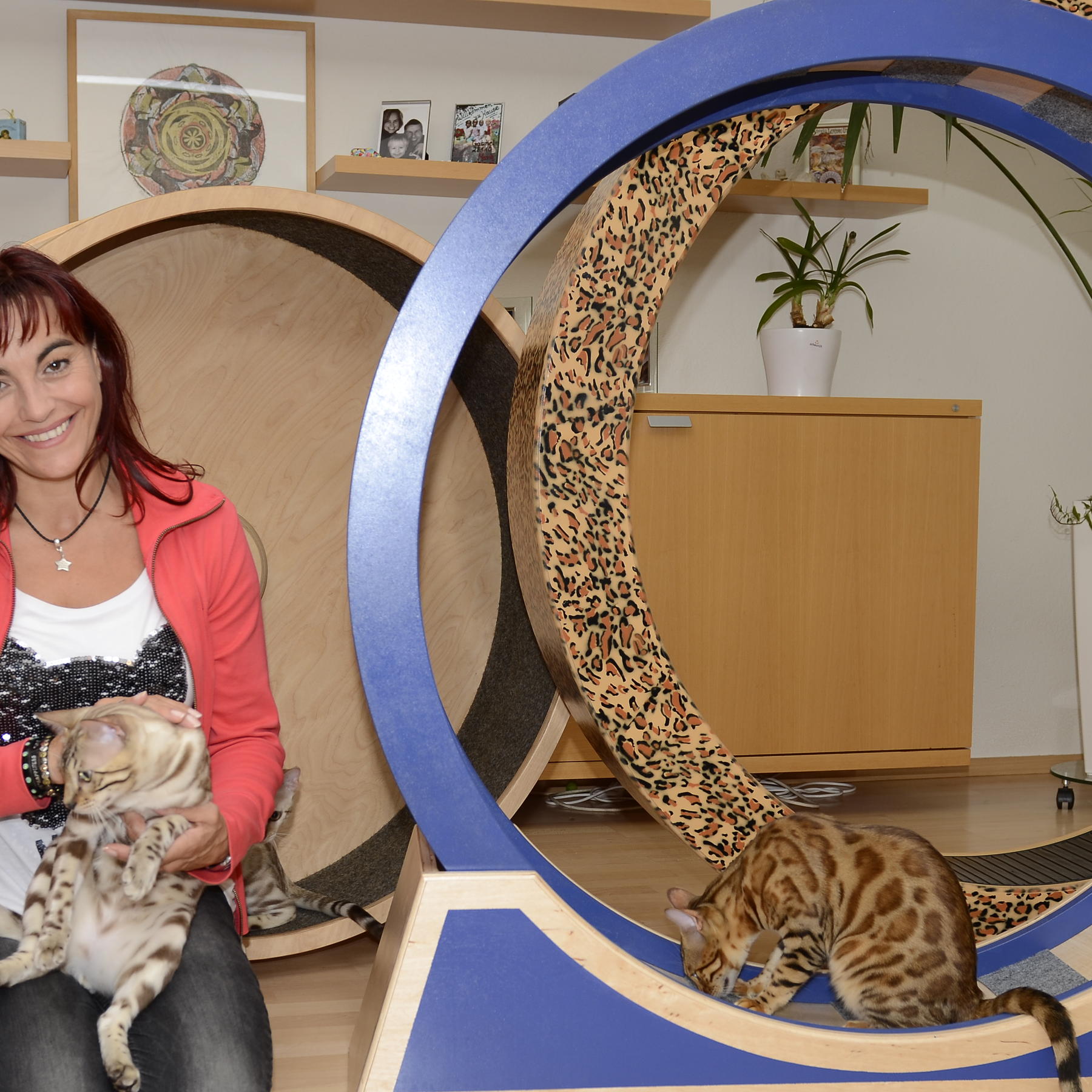 Diana - Katzenlaufrder.VOX DOCMA TV Diana - Katzenlaufrder.VOX DOCMA TV