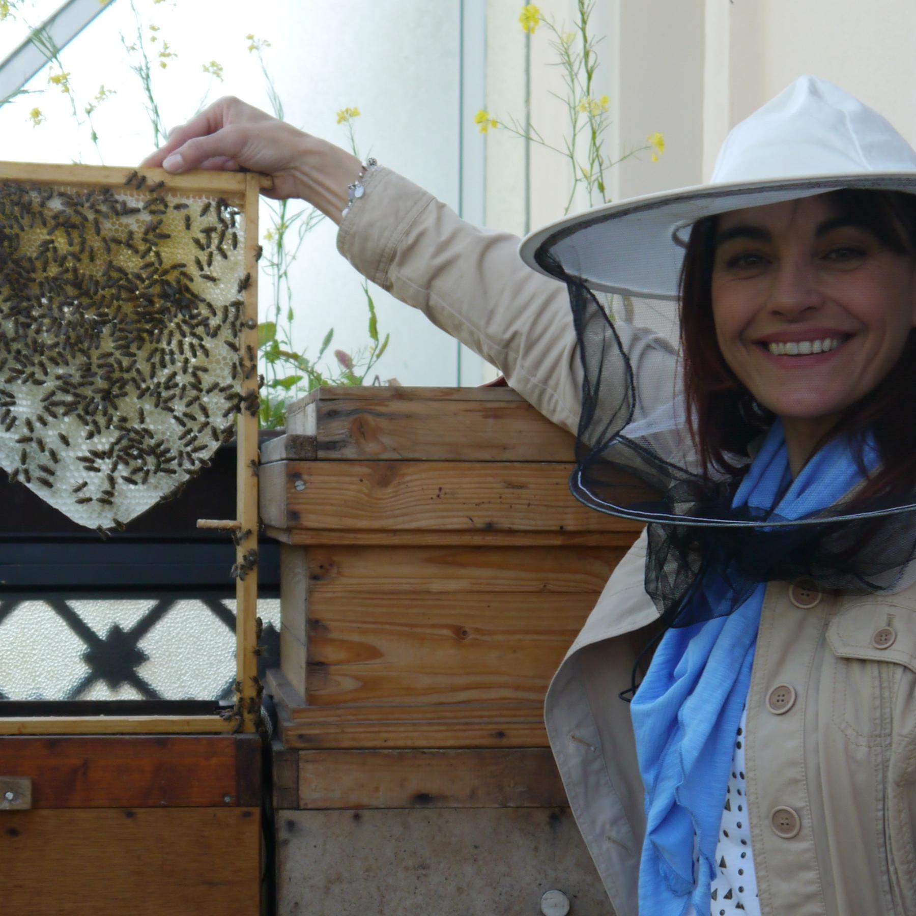 Tiergeschichten1 - Stadtbienen Tiergeschichten1 - Stadtbienen