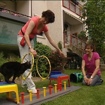 tiergeschichten1 a2