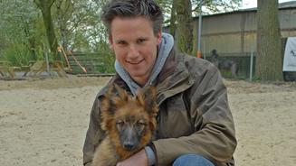 Das miese Geschäft mit den Hundewelpen
