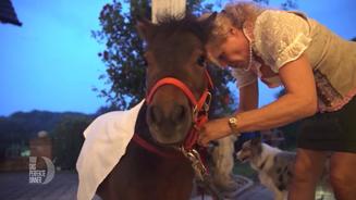 Connys Pony ist der Star des Abends